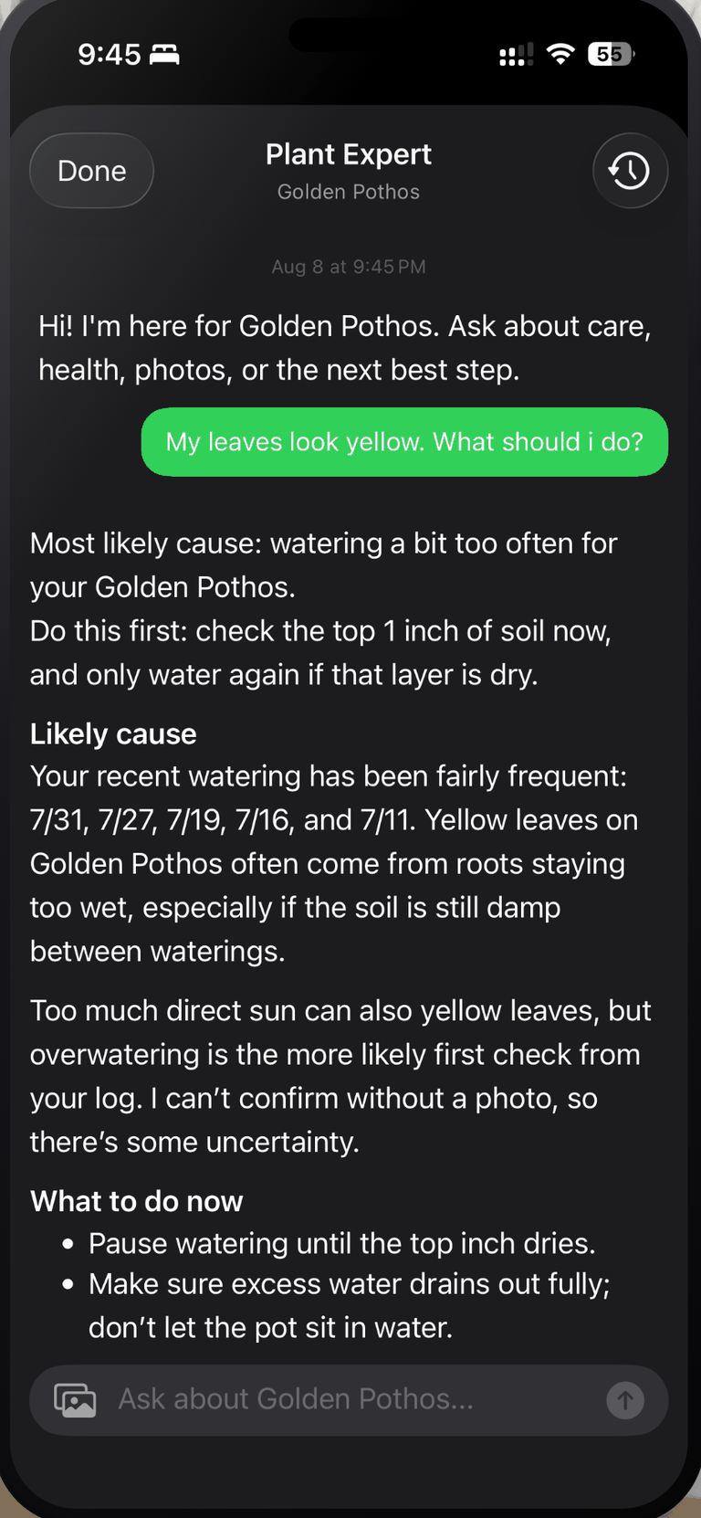 The Plant Assistant AI Plant Expert chat on iPhone, headed Plant Expert for a Golden Pothos. The owner asks "My leaves look yellow. What should I do?" and the reply gives watering too often as the most likely cause, lists recent waterings on 7/31, 7/27, 7/19, 7/16 and 7/11, says it cannot confirm without a photo, then advises pausing watering until the top inch dries and letting excess water drain out fully.