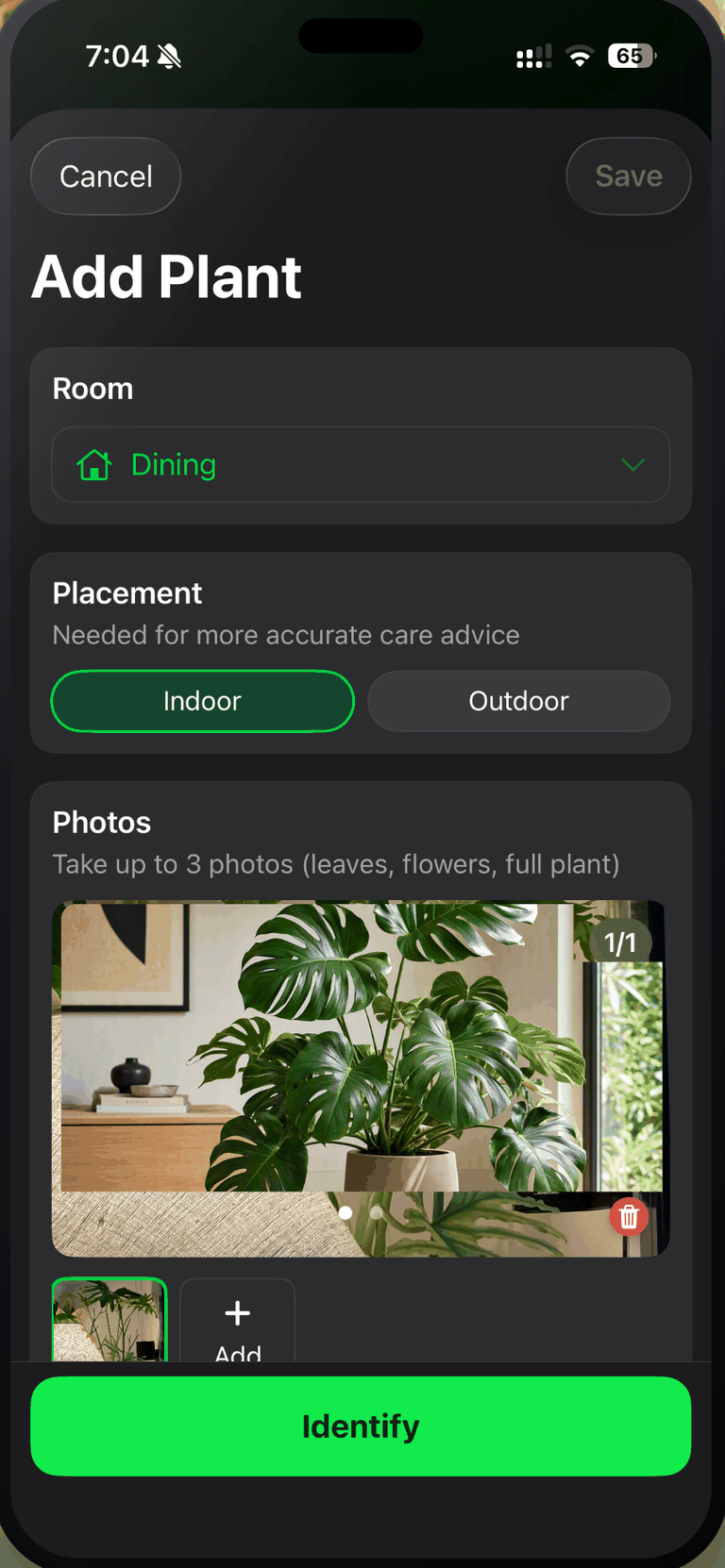 The Plant Assistant Add Plant screen on iPhone, with Room set to Dining, Placement set to Indoor rather than Outdoor under the note "Needed for more accurate care advice", and one photo of a Monstera in a living room attached as 1 of 1 under "Take up to 3 photos (leaves, flowers, full plant)", above a green Identify button.